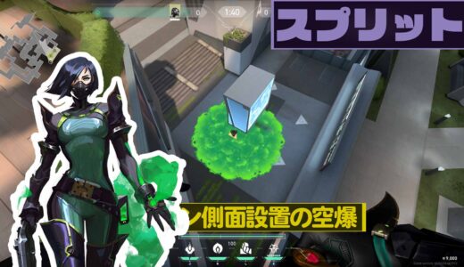 【VALORANT】スプリット×ヴァイパー スクリーン設置ならどこでも解除阻止！スネークバイト空爆【018】【小技】