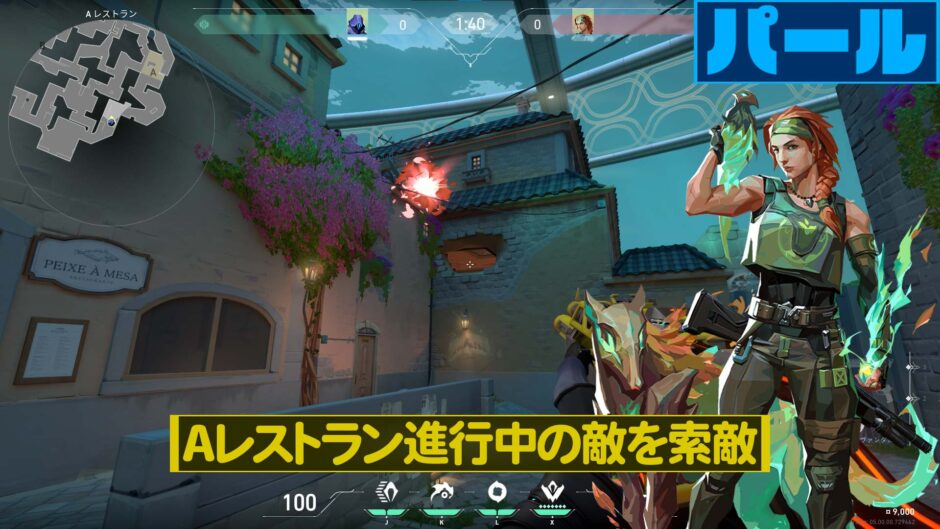 Valorant パール スカイ 開幕索敵フラッシュガイディングライト 004 小技 Valorant Pick Valorant パール スカイ 開幕索敵フラッシュガイディングライト 004 小技 Valorant Pick