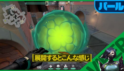 【VALORANT】パール×ヴァイパー プロも使う超絶便利なエリアコントロールスモークポイズンクラウド【030】【小技】
